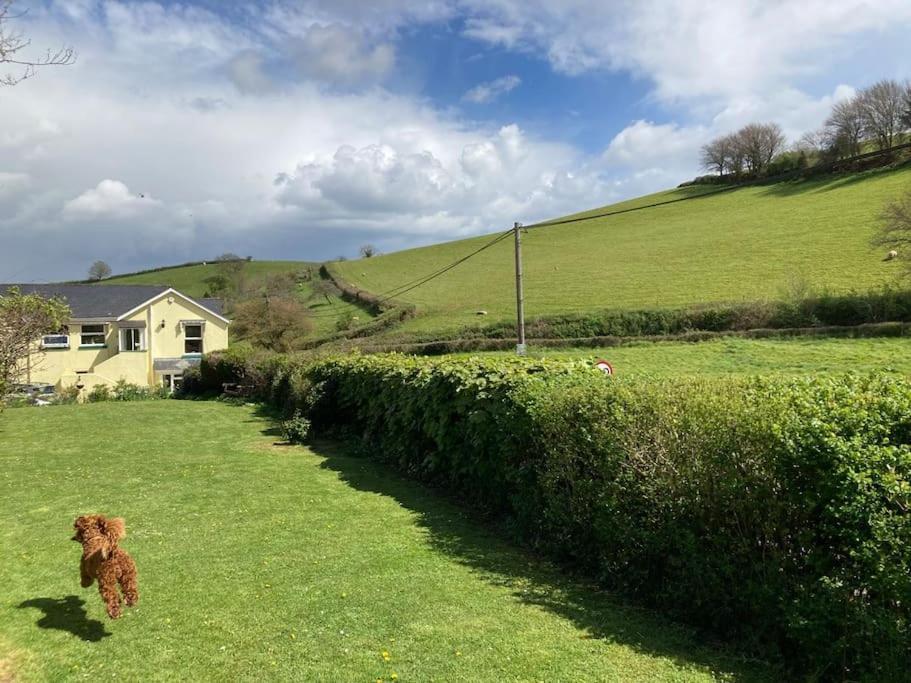 Charming Countryside Cottage Ground Floor Apartment In Combeinteignhead Devon Bishopsteignton Eksteriør bilde